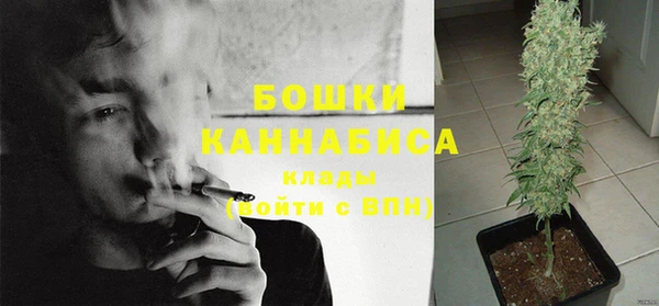 ПСИЛОЦИБИНОВЫЕ ГРИБЫ Бронницы