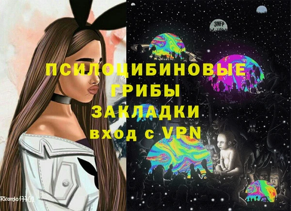 ПСИЛОЦИБИНОВЫЕ ГРИБЫ Бронницы